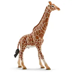 Schleich Giraffa Maschio - Miniatura Realistica in Resina